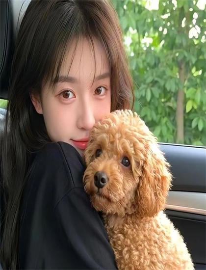 专业解读：《小轿车》的市场表现与观众反馈——艺术与技术的完美结合